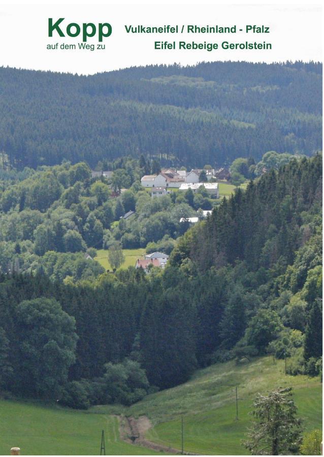 KoppEifel Rebeige Gerolsteinアパートメント エクステリア 写真